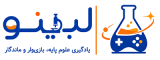 logo-mini-website-2